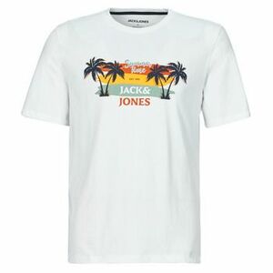 Tričká s krátkym rukávom Jack & Jones JJSUMMER VIBE TEE SS CREW NECK vyobraziť