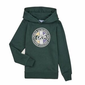 Mikiny Jack & Jones JORARTHUR SWEAT HOOD SN vyobraziť