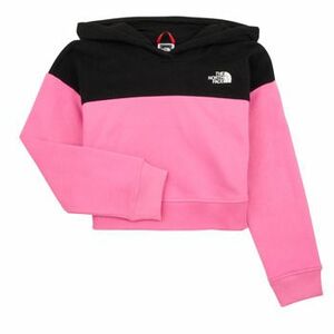 Mikiny The North Face Girls Drew Peak Crop P/O Hoodie vyobraziť