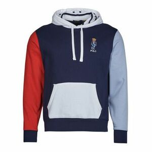 Mikiny Polo Ralph Lauren SWEATSHIRT CAPUCHE COLORBLOCK BEAR BRODé vyobraziť