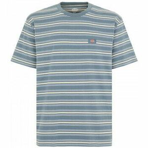 Tričká a polokošele Dickies Lewistown stripe ss tee vyobraziť