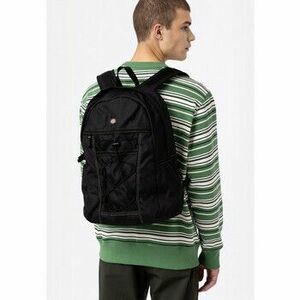 Tašky Dickies Ashville backpack vyobraziť