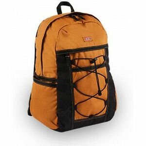 Tašky Dickies Ashville backpack vyobraziť