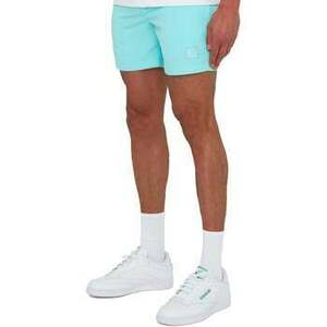 Plavky Marshall Artist Foundation Swim Shorts Aqua vyobraziť