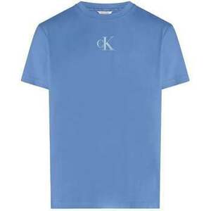 Tričká a polokošele Calvin Klein Jeans Graphic Print Crew T-Shirt Glacier vyobraziť