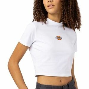 Tričká a polokošele Dickies MAPLE VALLEY REG TEE vyobraziť