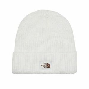 Čiapky The North Face SALTY BAE LINED BEANIE vyobraziť