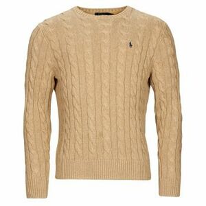 Svetre Polo Ralph Lauren PULL COL ROND EN MAILLE TORSADEE vyobraziť
