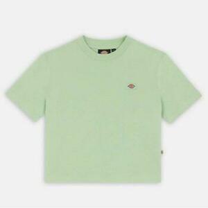 Tričká a polokošele Dickies OAKPORT BOXY TEE SS W vyobraziť