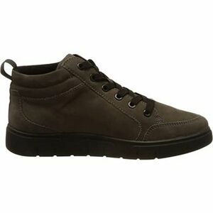 Derbie Ara 1224453 Gris vyobraziť