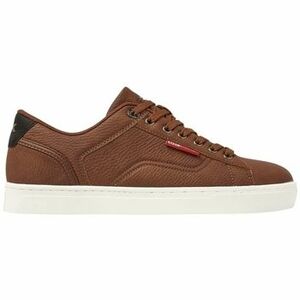 Derbie British Knights DALE 213-BROWN/BLACK Marron vyobraziť