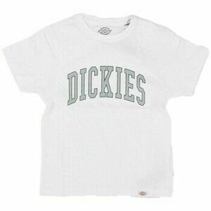 Tričká s krátkym rukávom Dickies DK0A4Z8O vyobraziť