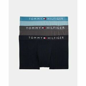 Spodky Tommy Hilfiger UM0UM035210S2 3P TRUNK DTM vyobraziť