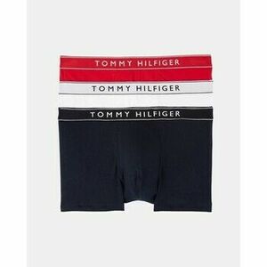 Spodky Tommy Hilfiger UM0UM035200WF 3P TRUNK DTM vyobraziť