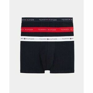 Spodky Tommy Hilfiger UM0UM027630W3 3P WB TRUNK vyobraziť