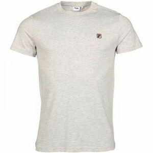 Tričká a polokošele Fila SEAMUS B13 - LIGHT GREY MELANGE 682393 vyobraziť