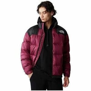Kabáty The North Face W NEW Violet vyobraziť