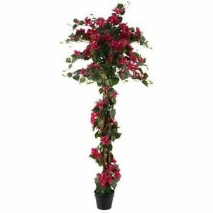 Umelé kvety Signes Grimalt Rastlina Bougainvillea vyobraziť