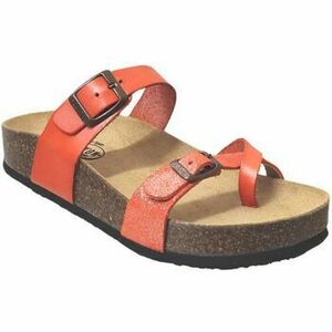 Žabky Plakton Cp bombay vyobraziť