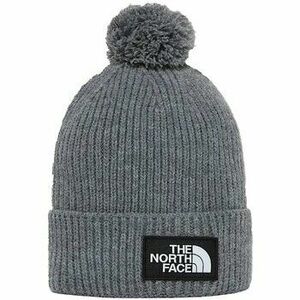 Čiapky The North Face NF0A3FN3 vyobraziť