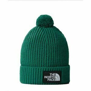 Čiapky The North Face NF0A3FN3 vyobraziť