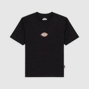 Tričká a polokošele Dickies MAPLE VALLEY REG TEE vyobraziť
