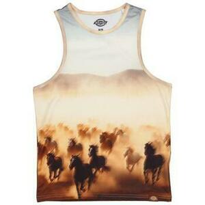 Tričká a polokošele Dickies DK0A4Z8LK411 RUNNING WILD TOP vyobraziť