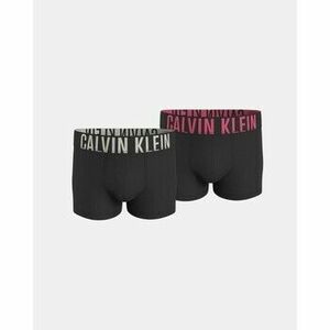 Spodky Calvin Klein Jeans 000NB2602AGXI TRUNK 2PK vyobraziť