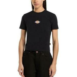 Tričká a polokošele Dickies MAPLE VALLEY REG TEE vyobraziť