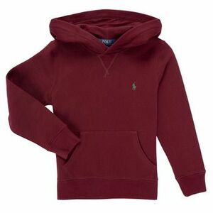 Mikiny Polo Ralph Lauren LS PO HOOD vyobraziť