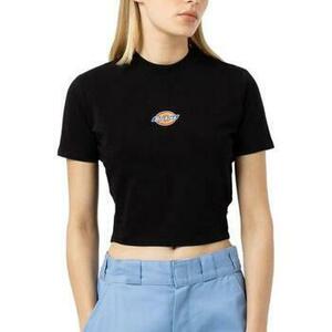 Tričká s krátkym rukávom Dickies MAPLE VALLEY TEE BLACK vyobraziť
